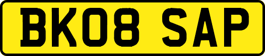 BK08SAP
