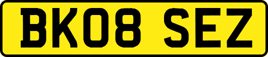 BK08SEZ