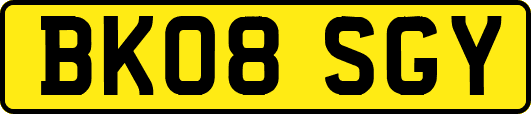 BK08SGY