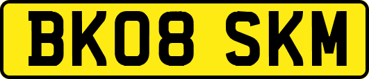 BK08SKM