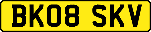 BK08SKV