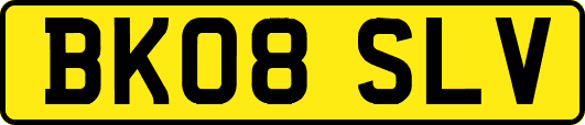 BK08SLV