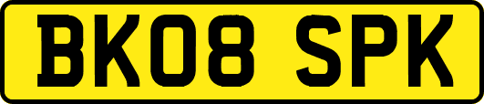 BK08SPK