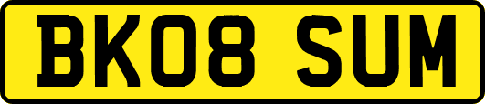 BK08SUM
