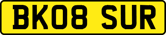 BK08SUR