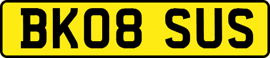 BK08SUS