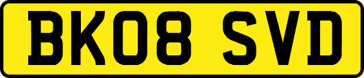 BK08SVD