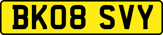 BK08SVY
