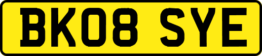 BK08SYE