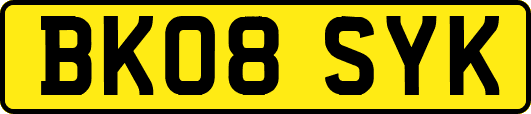 BK08SYK