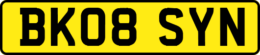 BK08SYN