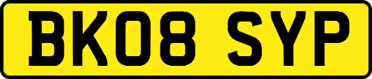 BK08SYP
