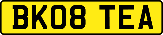 BK08TEA