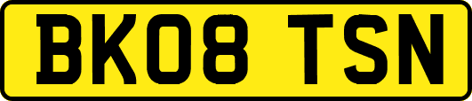 BK08TSN
