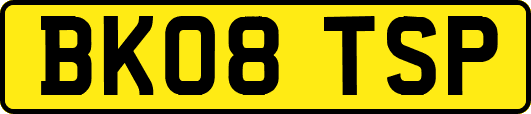 BK08TSP