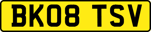 BK08TSV