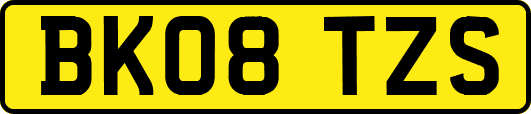 BK08TZS