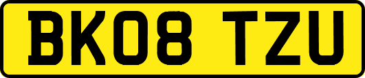 BK08TZU