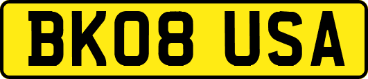 BK08USA