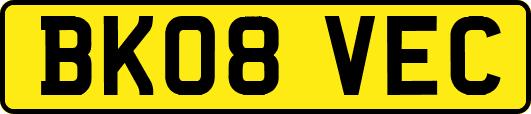 BK08VEC