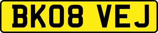 BK08VEJ