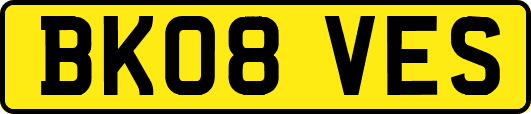 BK08VES