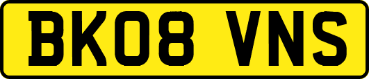 BK08VNS