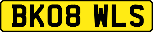 BK08WLS