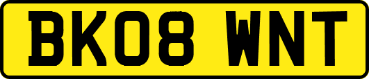 BK08WNT