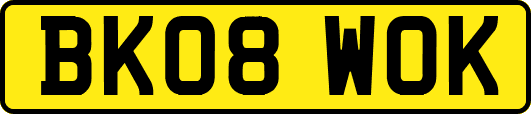 BK08WOK