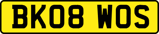 BK08WOS