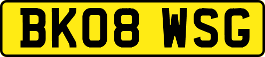 BK08WSG