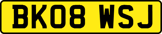 BK08WSJ