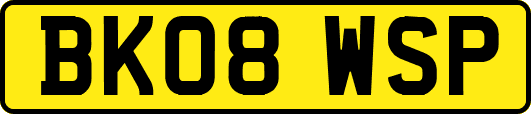 BK08WSP