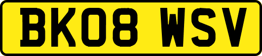BK08WSV