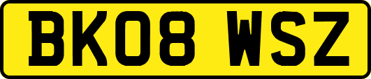 BK08WSZ