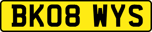 BK08WYS