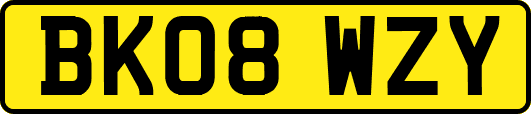 BK08WZY