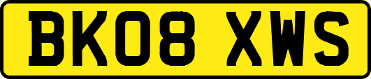 BK08XWS