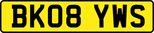 BK08YWS
