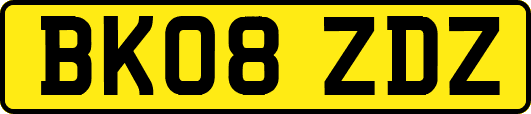 BK08ZDZ