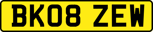 BK08ZEW