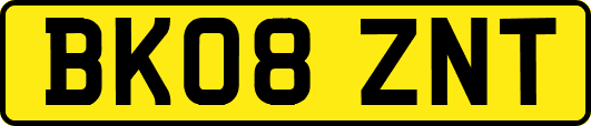 BK08ZNT