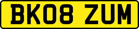 BK08ZUM