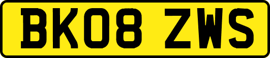 BK08ZWS