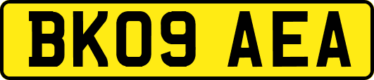BK09AEA