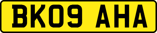 BK09AHA