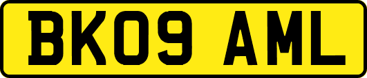 BK09AML