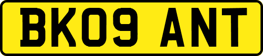 BK09ANT