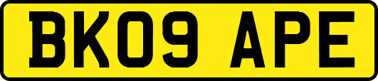 BK09APE